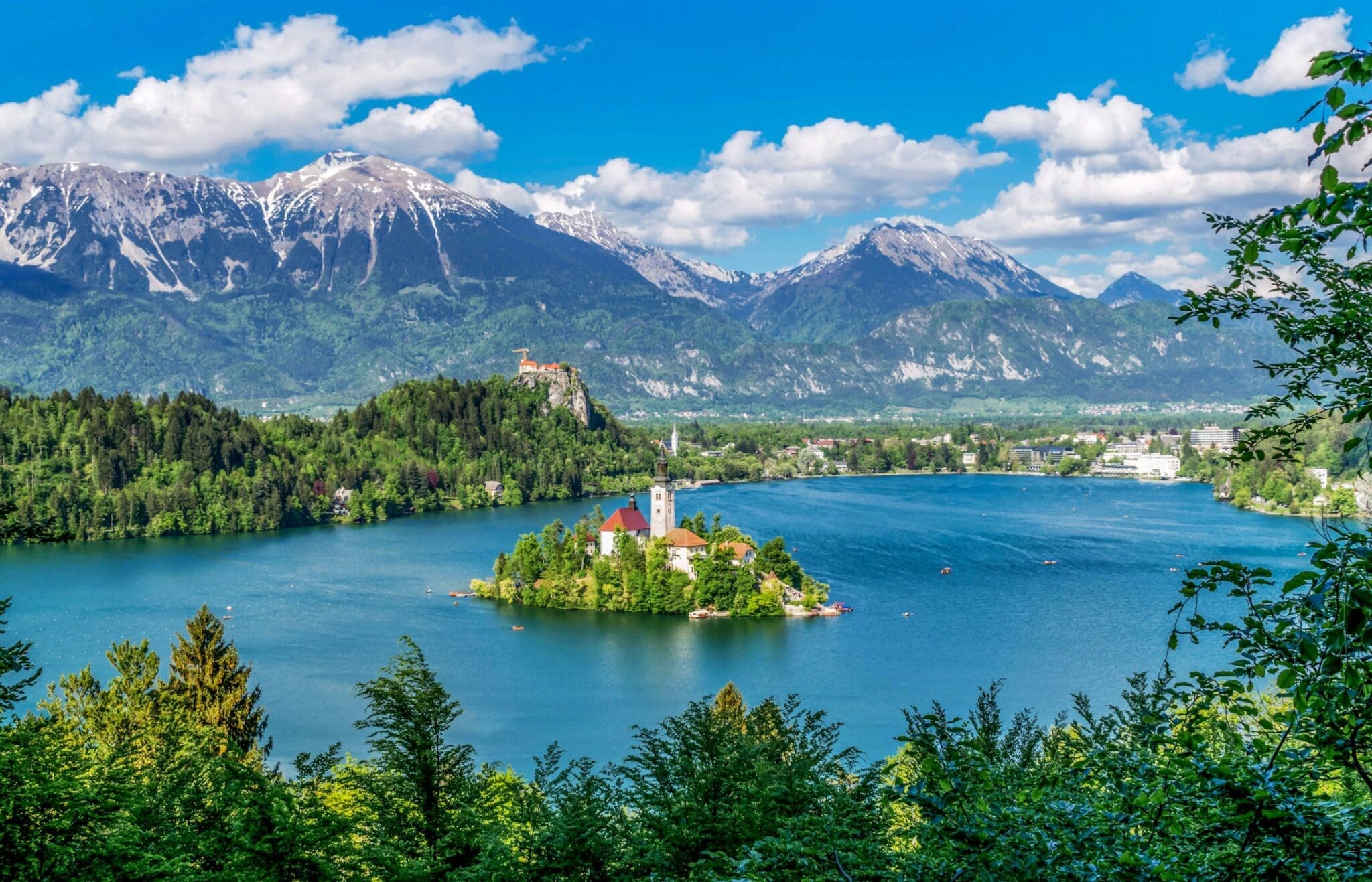 Bled Island
